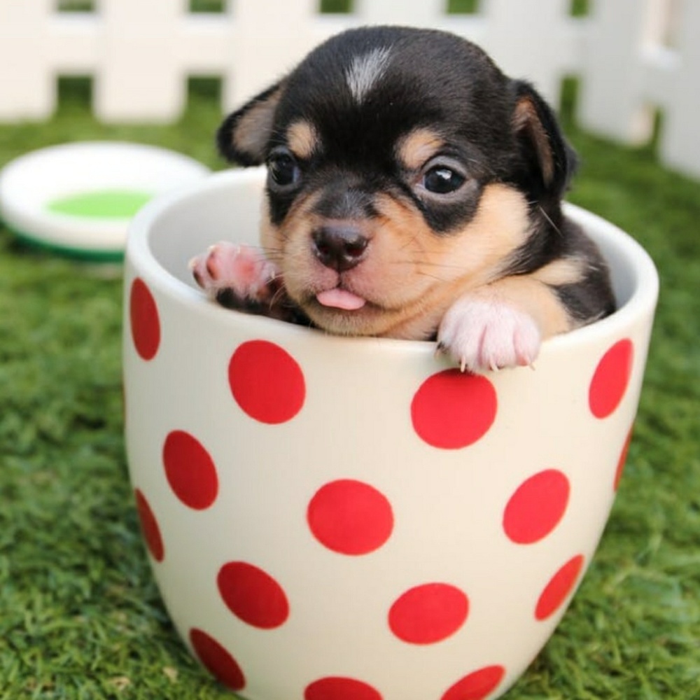 💟 THANK YOU FOR VISITING 💟